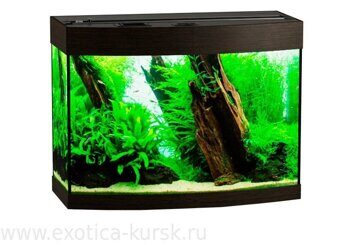 Панорама 120 "Экзотика"